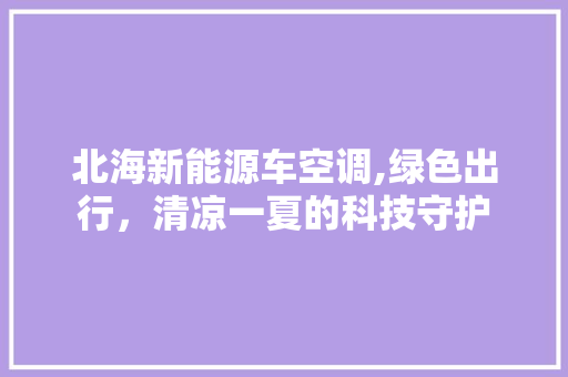 北海新能源车空调,绿色出行，清凉一夏的科技守护