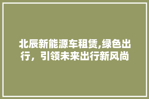 北辰新能源车租赁,绿色出行，引领未来出行新风尚