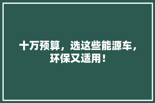 十万预算，选这些能源车，环保又适用！