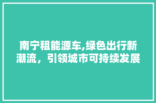 南宁租能源车,绿色出行新潮流，引领城市可持续发展