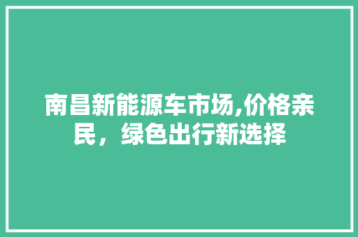 南昌新能源车市场,价格亲民，绿色出行新选择