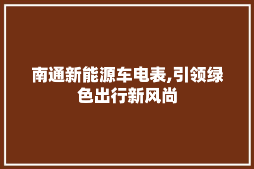 南通新能源车电表,引领绿色出行新风尚