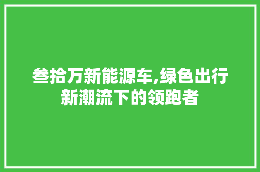 叁拾万新能源车,绿色出行新潮流下的领跑者