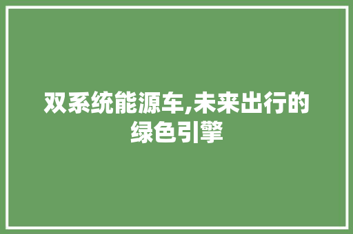 双系统能源车,未来出行的绿色引擎