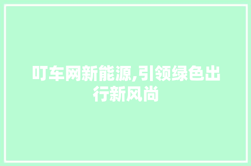 叮车网新能源,引领绿色出行新风尚