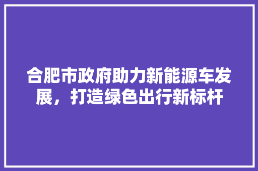 合肥市政府助力新能源车发展，打造绿色出行新标杆