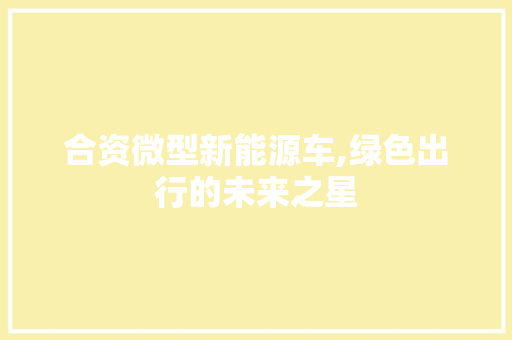 合资微型新能源车,绿色出行的未来之星