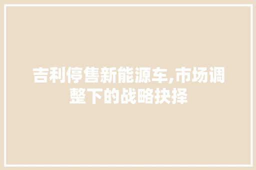 吉利停售新能源车,市场调整下的战略抉择