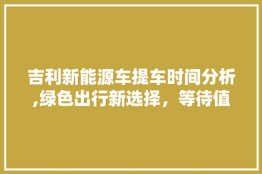 吉利新能源车提车时间分析,绿色出行新选择，等待值不值