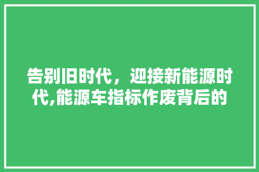 告别旧时代，迎接新能源时代,能源车指标作废背后的深刻变革