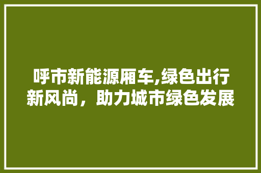 呼市新能源厢车,绿色出行新风尚，助力城市绿色发展