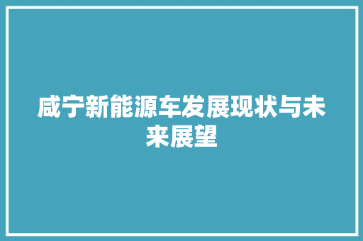 咸宁新能源车发展现状与未来展望