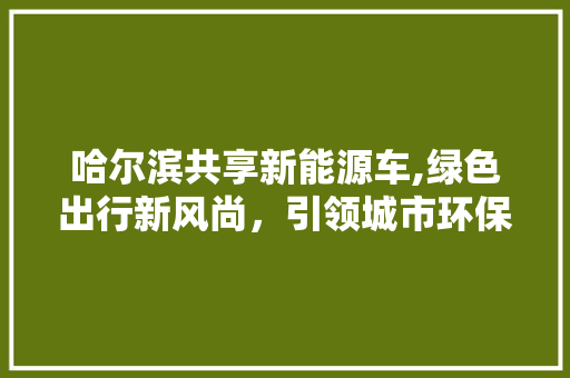 哈尔滨共享新能源车,绿色出行新风尚，引领城市环保潮流