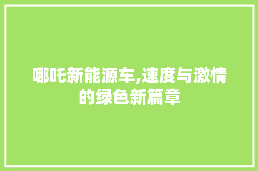 哪吒新能源车,速度与激情的绿色新篇章