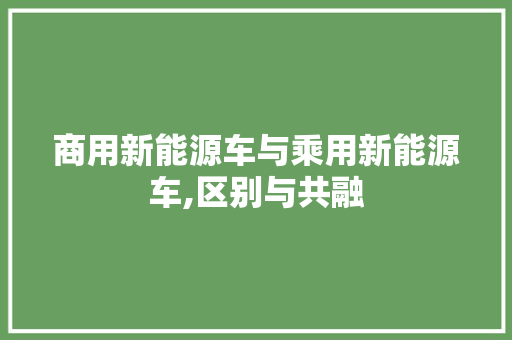 商用新能源车与乘用新能源车,区别与共融