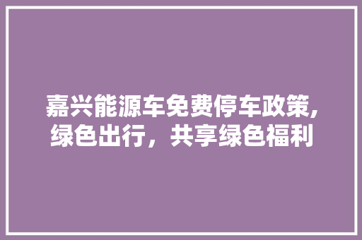 嘉兴能源车免费停车政策,绿色出行，共享绿色福利