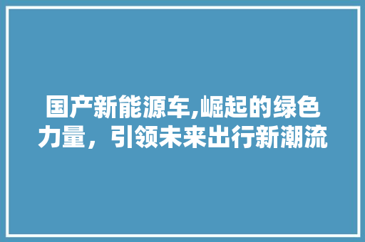 国产新能源车,崛起的绿色力量，引领未来出行新潮流