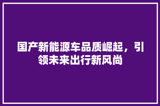 国产新能源车品质崛起，引领未来出行新风尚