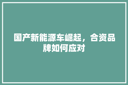 国产新能源车崛起，合资品牌如何应对