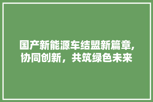 国产新能源车结盟新篇章,协同创新，共筑绿色未来