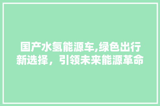 国产水氢能源车,绿色出行新选择，引领未来能源革命