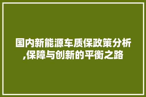 国内新能源车质保政策分析,保障与创新的平衡之路