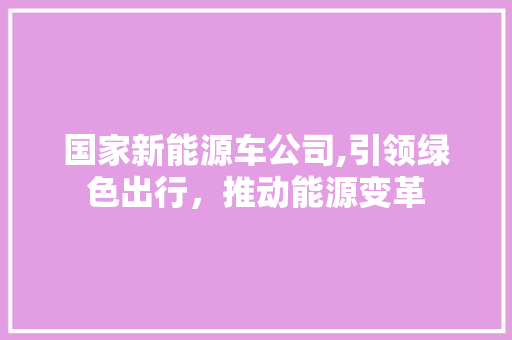 国家新能源车公司,引领绿色出行，推动能源变革  第1张