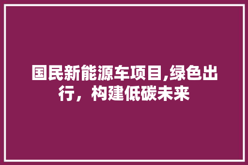 国民新能源车项目,绿色出行，构建低碳未来  第1张