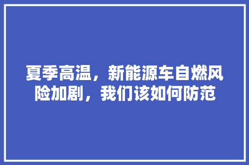 夏季高温，新能源车自燃风险加剧，我们该如何防范