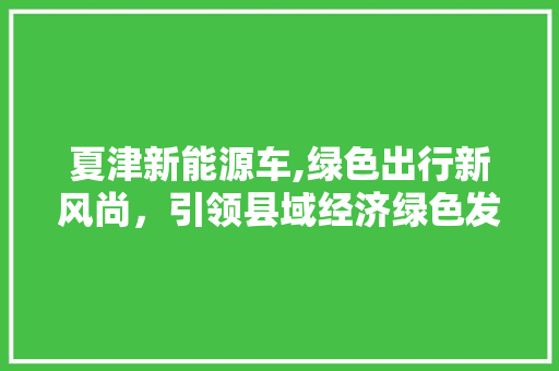 夏津新能源车,绿色出行新风尚，引领县域经济绿色发展