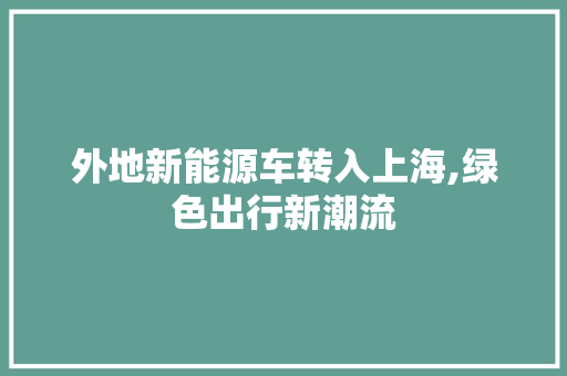 外地新能源车转入上海,绿色出行新潮流