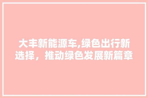 大丰新能源车,绿色出行新选择，推动绿色发展新篇章