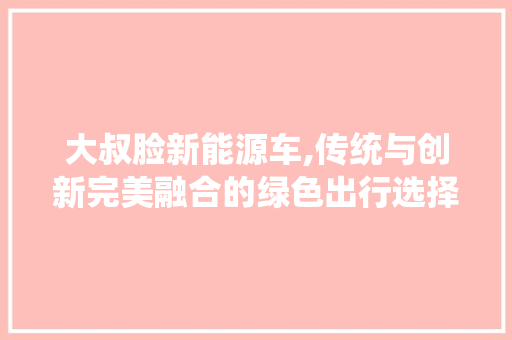 大叔脸新能源车,传统与创新完美融合的绿色出行选择