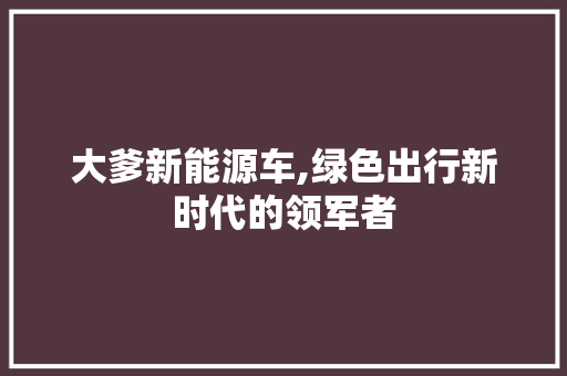 大爹新能源车,绿色出行新时代的领军者