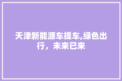 天津新能源车提车,绿色出行，未来已来