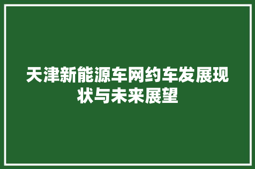 天津新能源车网约车发展现状与未来展望