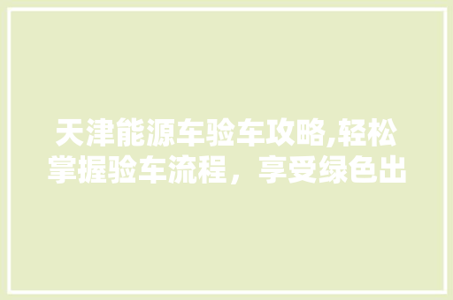 天津能源车验车攻略,轻松掌握验车流程，享受绿色出行