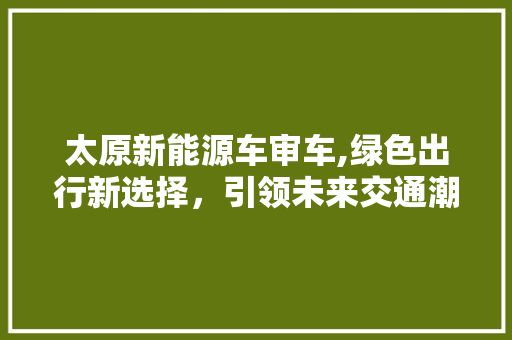 太原新能源车审车,绿色出行新选择，引领未来交通潮流