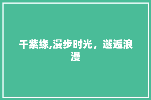 千紫缘,漫步时光，邂逅浪漫