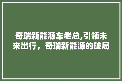 奇瑞新能源车老总,引领未来出行，奇瑞新能源的破局之路