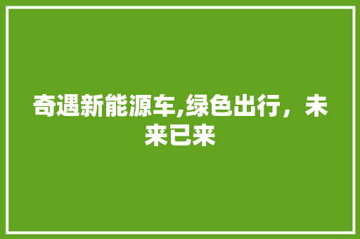 奇遇新能源车,绿色出行，未来已来