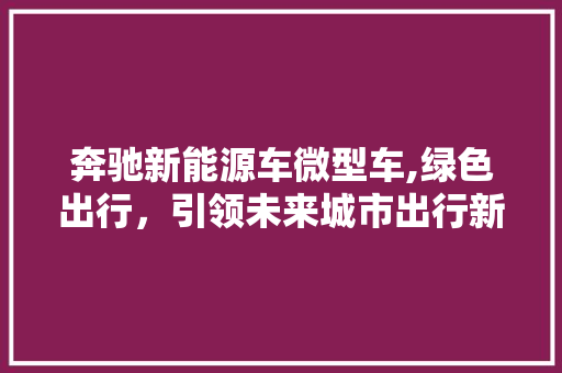 奔驰新能源车微型车,绿色出行，引领未来城市出行新风尚