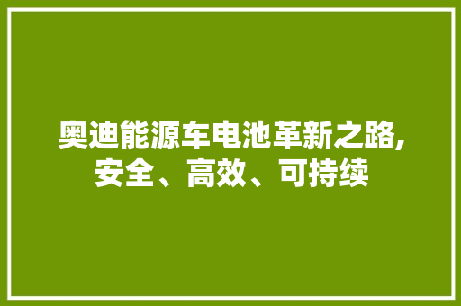 奥迪能源车电池革新之路,安全、高效、可持续