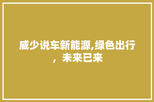 威少说车新能源,绿色出行，未来已来  第1张