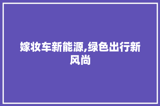 嫁妆车新能源,绿色出行新风尚