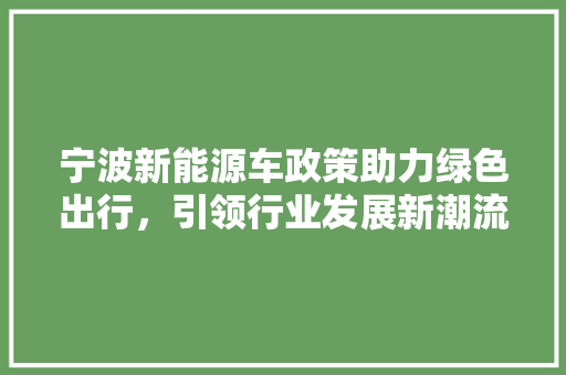 宁波新能源车政策助力绿色出行，引领行业发展新潮流