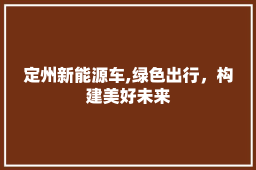 定州新能源车,绿色出行，构建美好未来