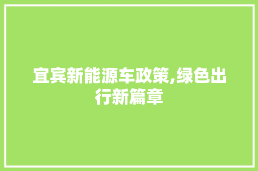 宜宾新能源车政策,绿色出行新篇章