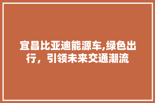 宜昌比亚迪能源车,绿色出行，引领未来交通潮流