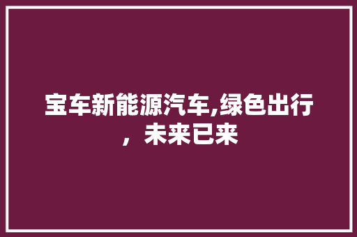 宝车新能源汽车,绿色出行，未来已来